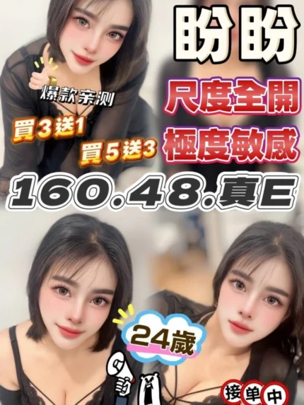 台中定點茶-盼盼/160/48/22/E