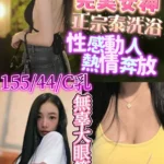 新竹定點茶-艷莉/155/44/24/E