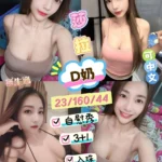 台東定點茶-莎拉/160/44/23/D