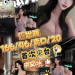 台中定點茶-邊世雅/166/46/20/D