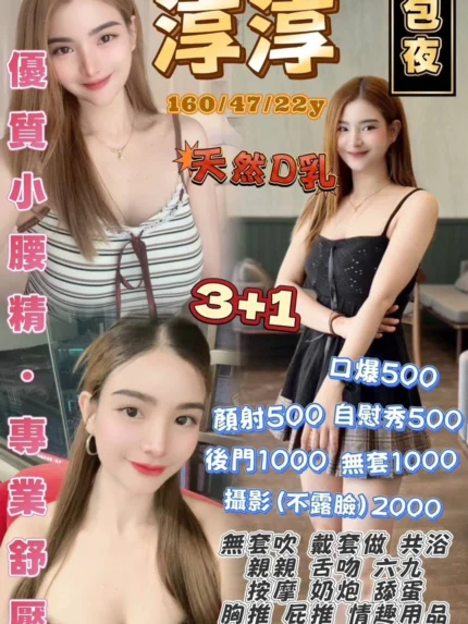 桃園定點茶-淳淳/160/47/22/D