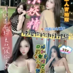 新竹定點茶-小妖精/158/44/22/C