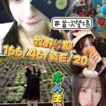 台中外送茶-牧野紗耶/166/46/20/E
