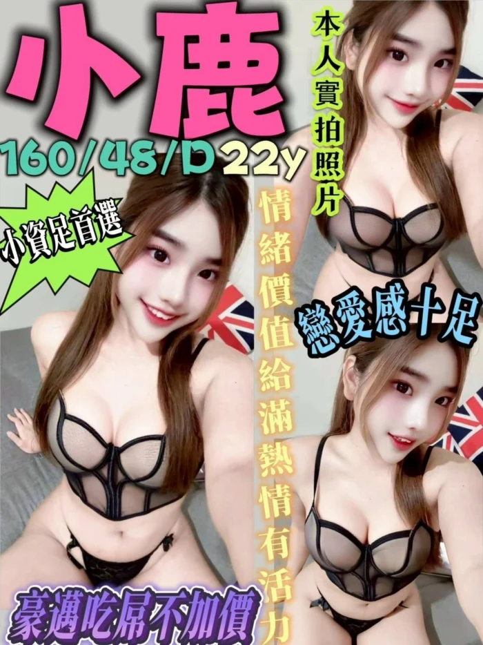 新北定點茶-小鹿/160/48/22/D 新北定點茶-小鹿/160/48/22/D