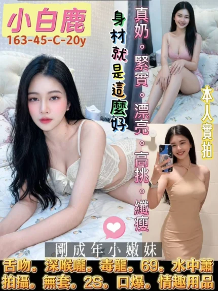 台南定點茶-小白鹿/163/45/20/C