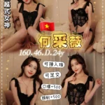 桃園定點茶-何采薇/160/46/24/D