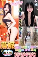 台南定點茶-莫妮/147/47/?/C