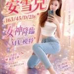 台南外送茶-安雪兒/163/45/23/D