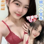 台南定點茶-雪芙/160/45/20/C