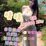 高雄外送茶-晴晴/163/44/22/E