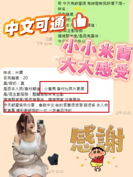 嘉義定點茶-米寶/147/47/23/D