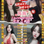 桃園定點茶-美美/160/43/20/C