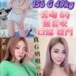 新北定點茶-米妮/156/49/?/G