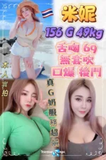 新北定點茶-米妮/156/49/?/G