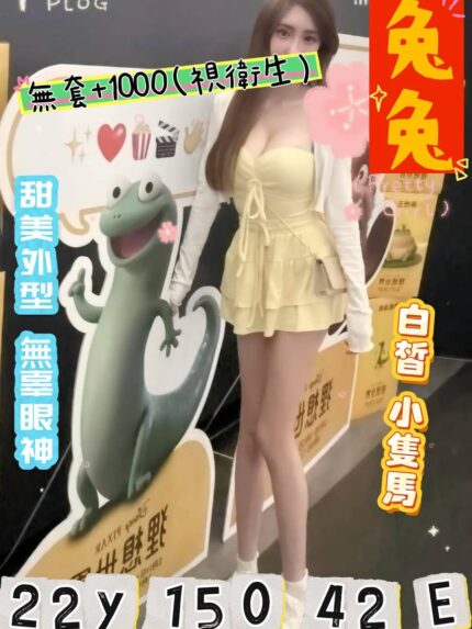 桃園外送茶-兔兔/150/42/22/E