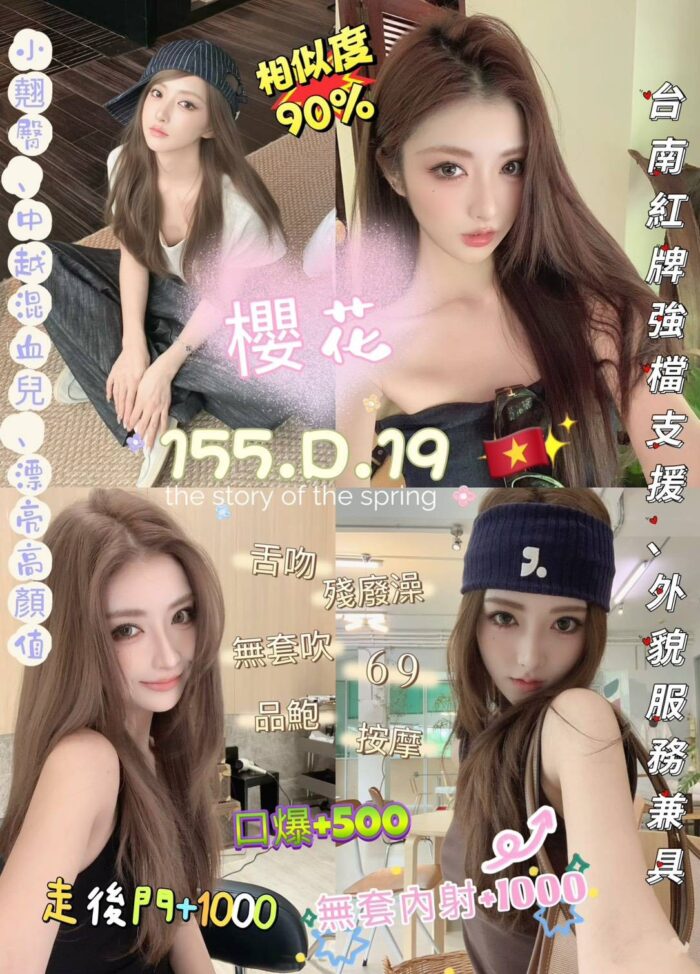 新北定點茶-櫻花/155/45/19/D 新北定點茶-櫻花/155/45/19/D
