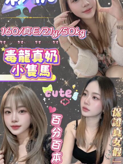 新北定點茶-彩桃/160/50/21/E