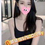 嘉義外送茶-晴晴/165/50/28/D