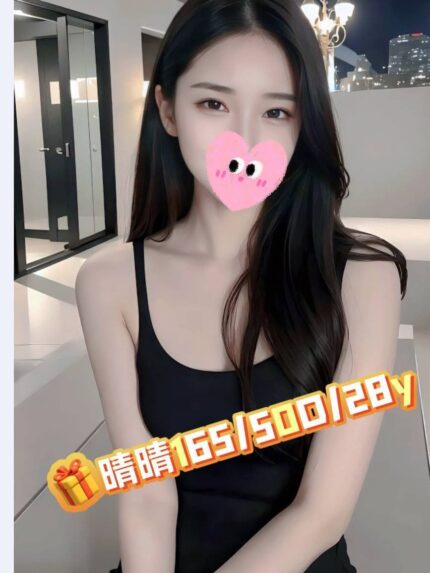嘉義外送茶-晴晴/165/50/28/D
