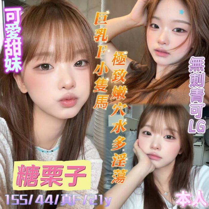 台南定點茶-糖栗子/155/44/21/F