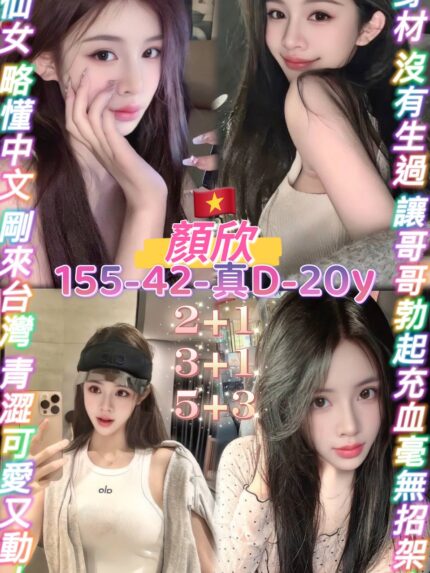 桃園定點茶-顏欣/155/42/20/D