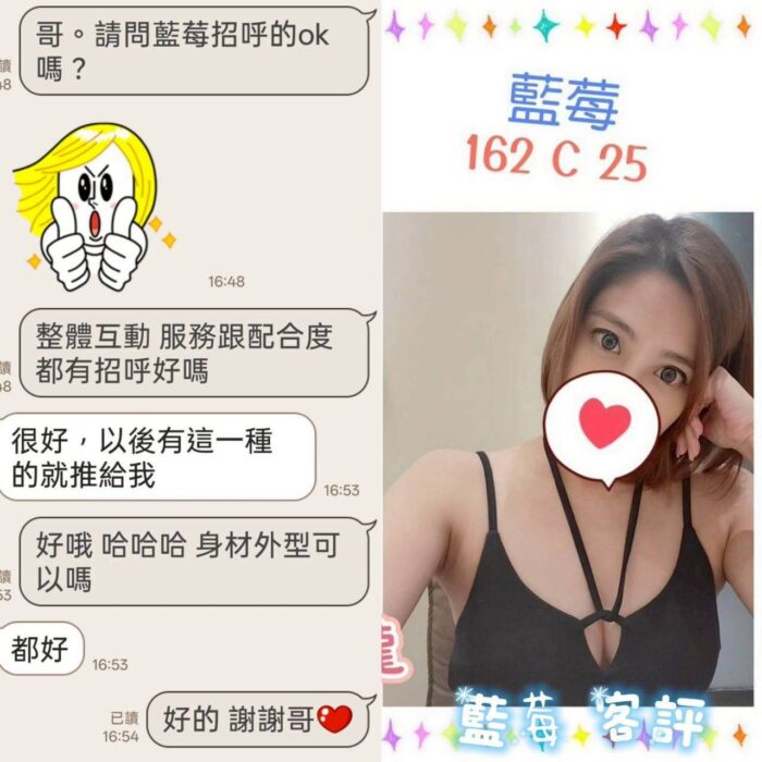台北定點茶-藍莓/162/?/25/C