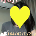 新竹外送茶-小小/164/42/23/D