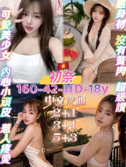 桃園定點茶-初奈/160/42/18/D