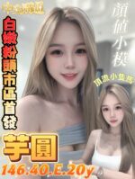 台南定點茶-芋圓/146/40/20/E