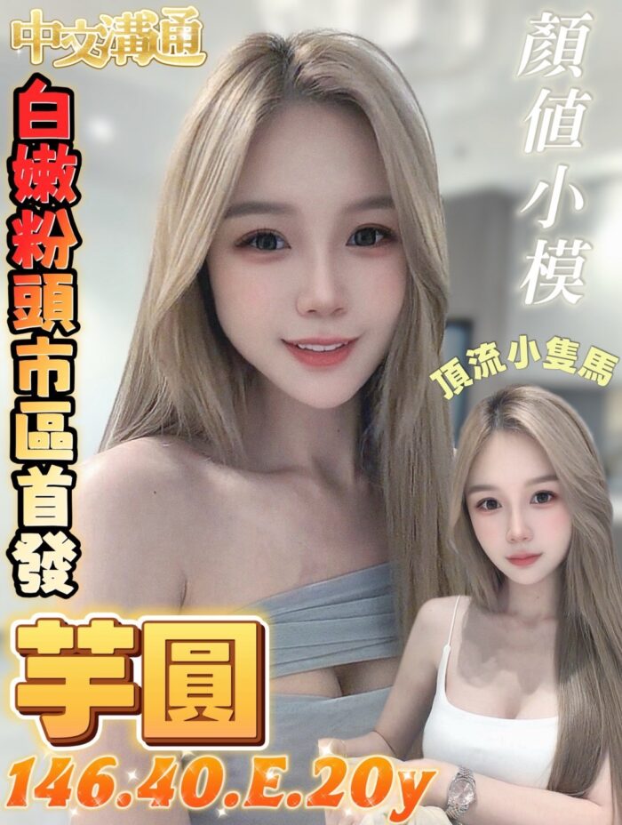 台南定點茶-芋圓/146/40/20/E