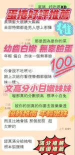 新竹定點茶-蛋捲/161/42/20/E