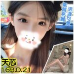 台北外送茶-天芯/163/?/21/D