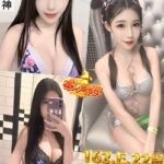 新北定點茶-銀娃/162/44/22/E