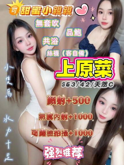 桃園定點茶-上元菜/153/42/21/C