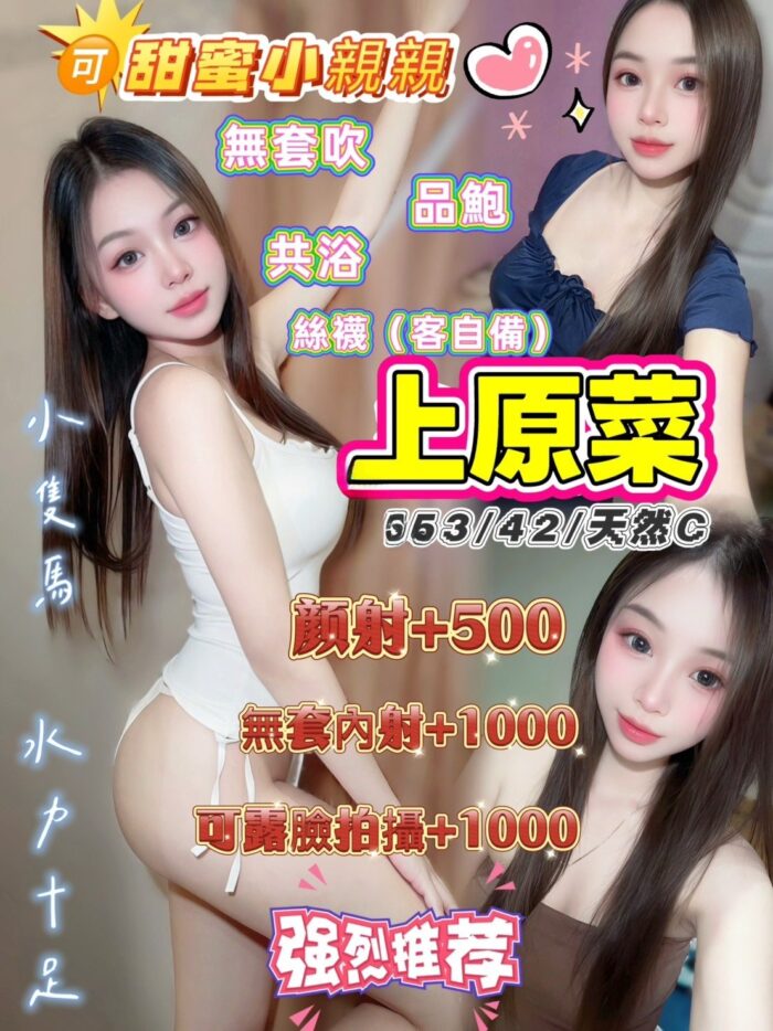 桃園定點茶-上元菜/153/42/21/C 桃園定點茶-上元菜/153/42/21/C