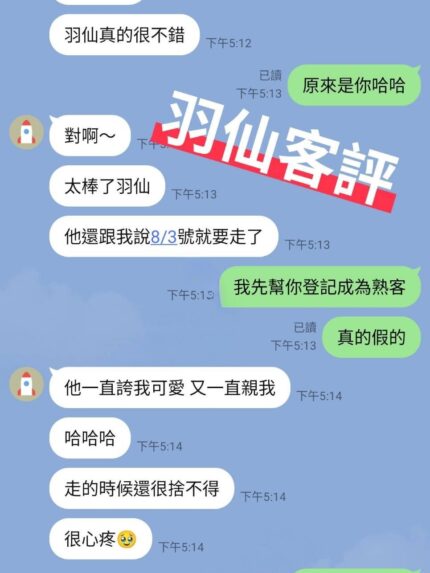 台東定點茶-羽仙/162/47/22/E