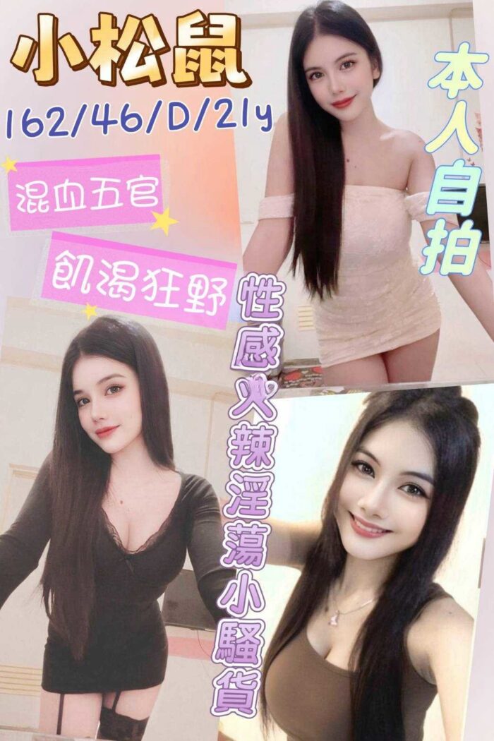 雲林定點茶-小松鼠/162/46/21/D
