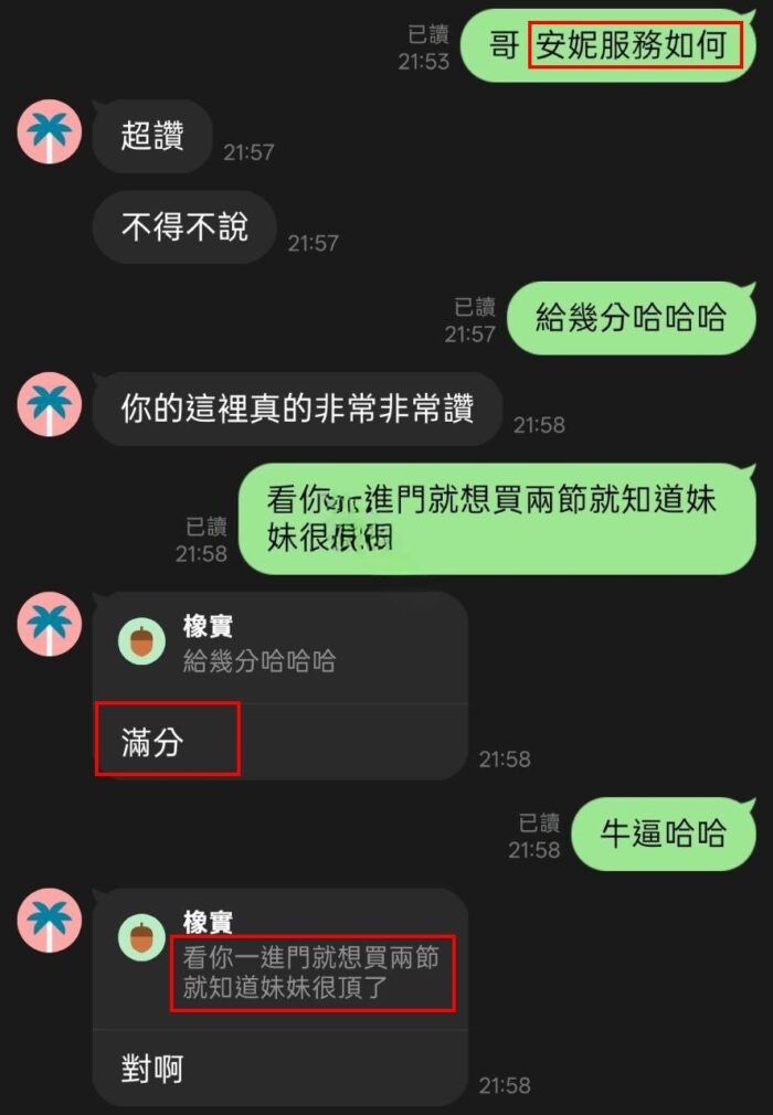 雲林定點茶-安妮/158/50/20/D