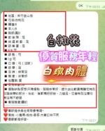 新竹定點茶-白桃花/153/43/21/D