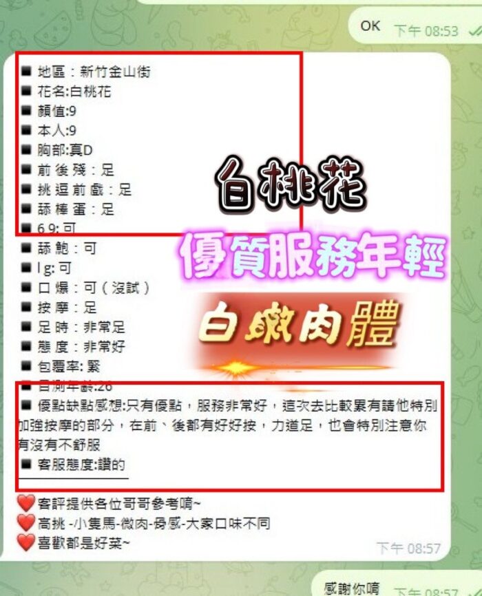 新竹定點茶-白桃花/153/43/21/D