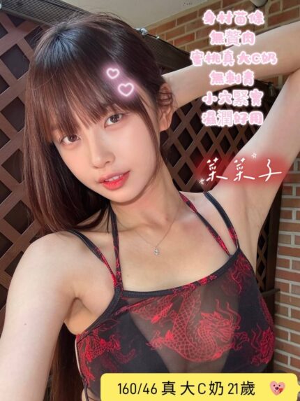 台南定點茶-菜菜子/160/46/21/C