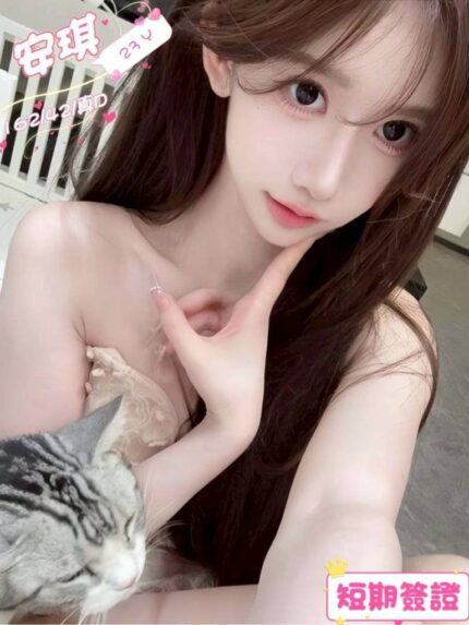 台中定點茶-安琪/162/42/23/D