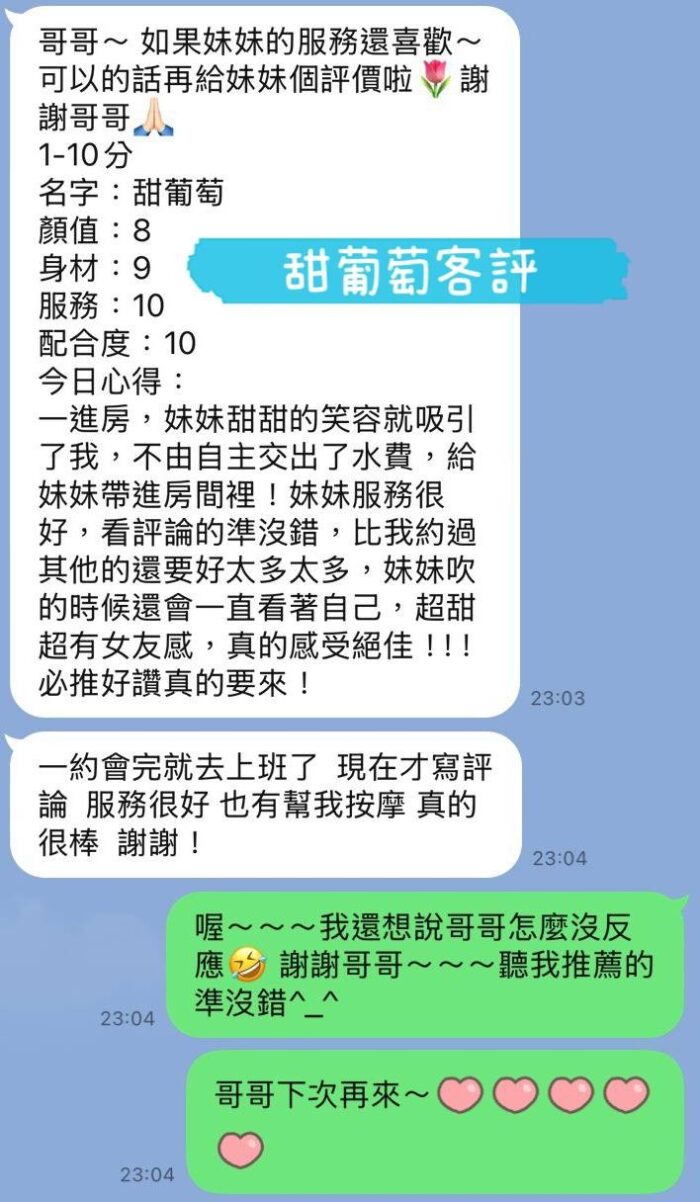 台南定點茶-甜葡萄/155/45/22/H