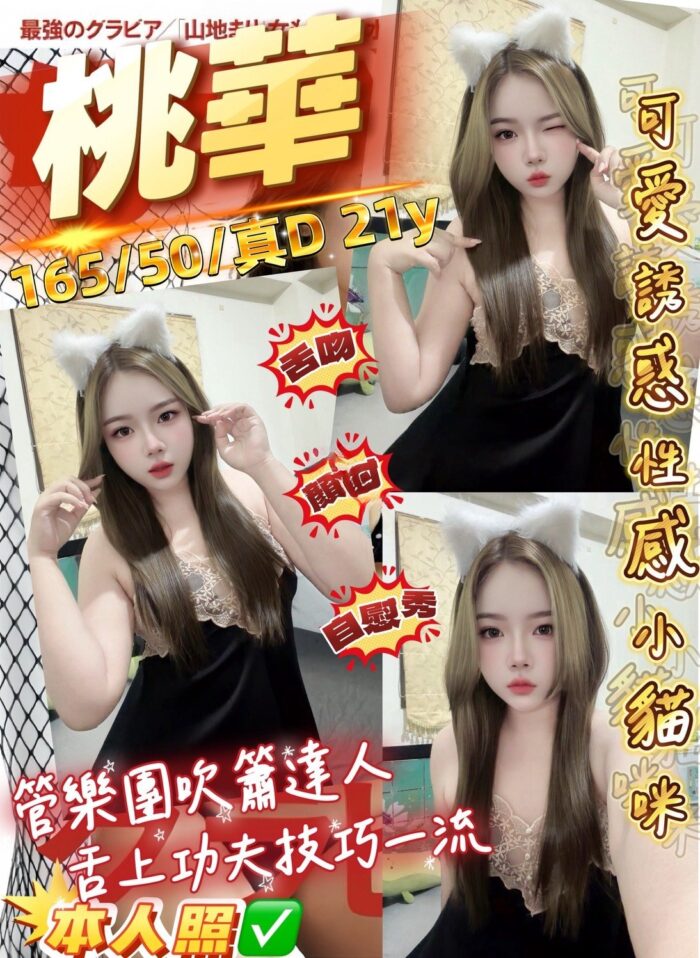 桃園定點茶-桃華/165/50/21/D 桃園定點茶-桃華/165/50/21/D