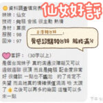 台南定點茶-仙女/161/55/33/C