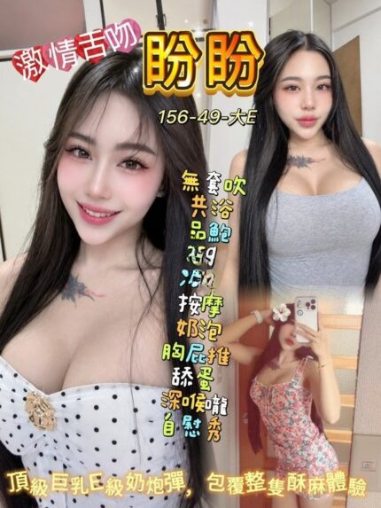 桃園定點茶-盼盼/156/49/22/E