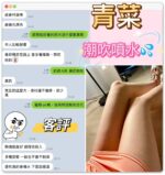 新北定點茶-青菜/164/49/24/F