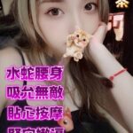 桃園定點茶-小晴/158/45/23/C