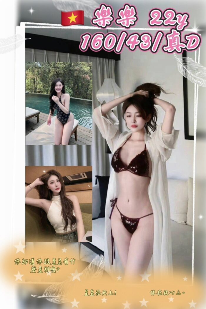 桃園定點茶-樂樂/160/43/22/D