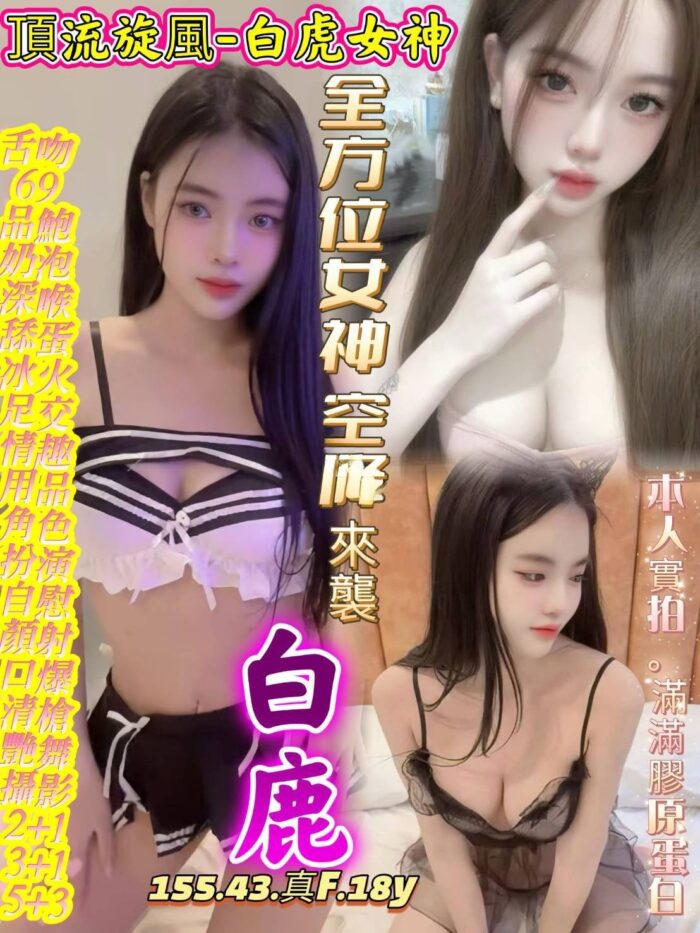 台中定點茶-白鹿/155/43/18/F